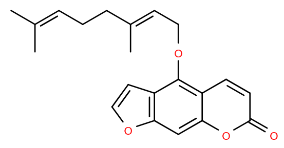 Lipid of the Month