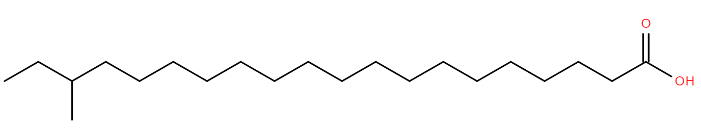 Lipid of the Month