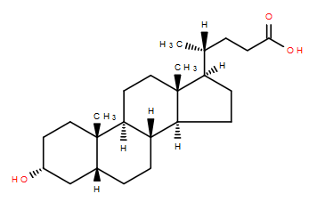 Lipid of the Month